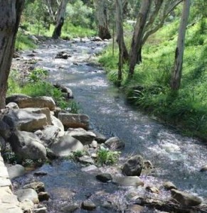 RESTORED URBAN CREEK 