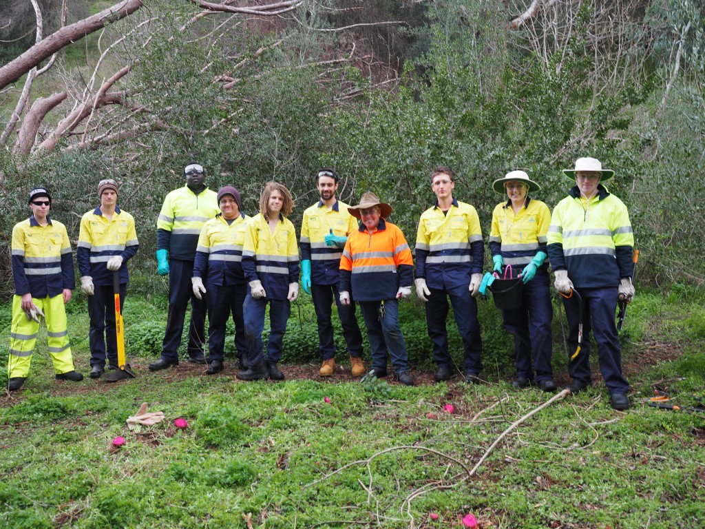 Brownhill Creek Green Army Project