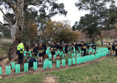 Scotch College students - planting