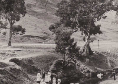 Kaurna Shelter Tree - Circa 1890